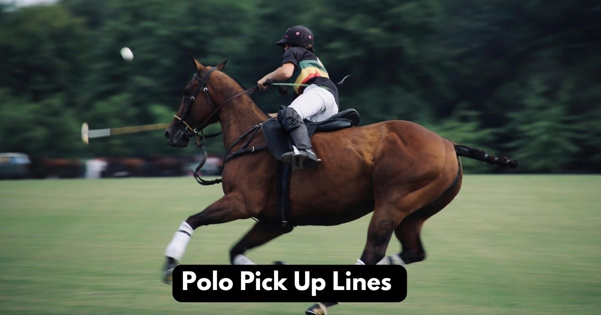 Polo Pick Up Lines
